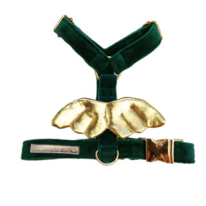 Szelki guard butelkowa zieleń złote skrzydła