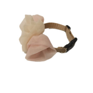 Obroża kremowa róża