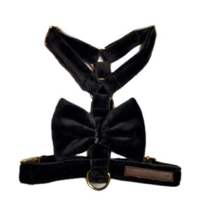 Szelki guard czarne aksamit z kokardką