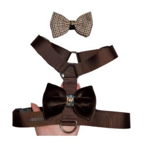 Szelki guard brązowe ciemne z dwoma ozdobami