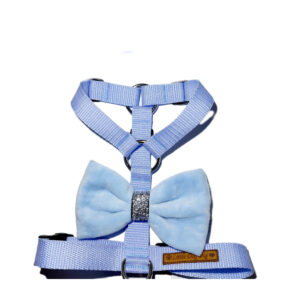 Szelki guard niebeskie z kokardką