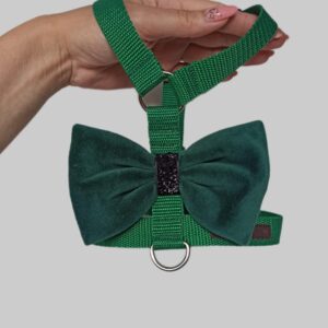 Szelki guard ciemno zielone z kokardką