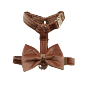 Szelki guard Camel aksamit